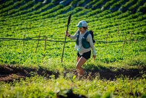 BIB: 
                            <button type="button" onclick="openModal(19160246)" class="btn btn-primary btn-sm float-right btn-popup" data-toggle="modal" data-target=".modal-high-quality">
                        <i class="fas fa-shopping-cart"></i> Add to Cart
                    </button>
                                            <button type="button" onclick="isThisMe(19160246, true)" class="btn btn-success btn-sm float-right btn-popup btn-isme hidden" data-toggle="tooltip" data-placement="bottom" title="นี่คือรูปของคุณใช่ไหม คลิกที่นี่เพื่อเอาเข้าอัลบั้ม">
                        <i class="fas fa-plus"></i> Add to album
                    </button>
                    <button type="button" onclick="isThisMe(19160246, false)" class="btn btn-warning btn-sm float-right btn-popup btn-isnotme hidden">
                        <i class="fas fa-ban"></i> Remove from album
                    </button>